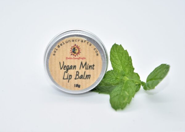 vegan mint lip balm