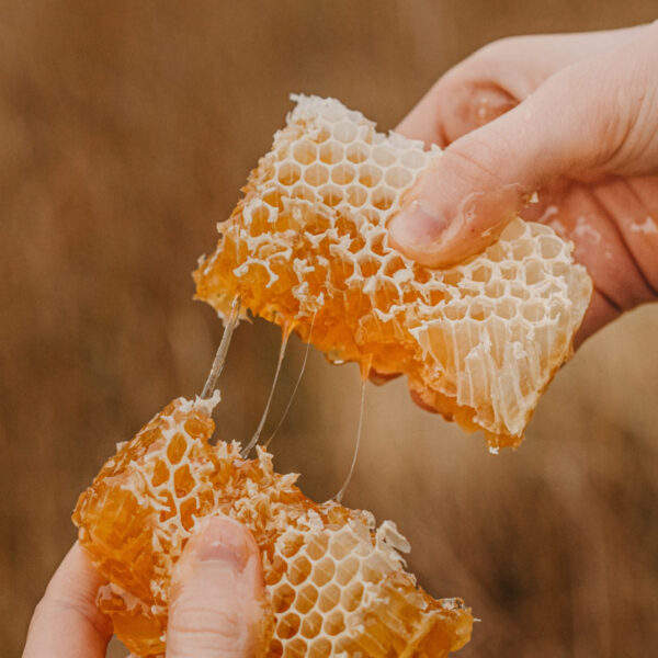 beeswax