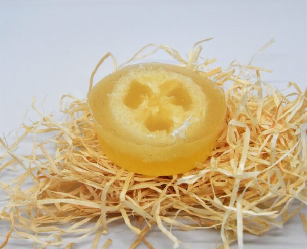 grapefruit orange loofah soap