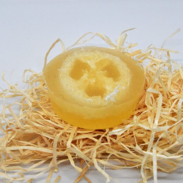 grapefruit orange loofah soap